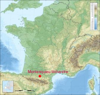 Terrain De Boule Couvert